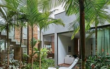 Vì sao người xưa dạy trồng "cau trước, chuối sau"?