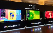TV cao cấp ồ ạt đổ bộ Việt Nam trước World Cup 2026: Cuộc đua mới của Mini LED, AI và màn hình siêu lớn