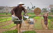 Việt Nam có ngôi làng khách Tây xếp hàng để được làm nông dân, bí quyết rau ngon nằm ở một loại "phân bón" lạ
