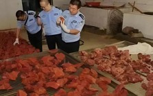 Theo dõi suốt 2 tháng, phanh phui đường dây sản xuất thịt giả doanh thu 19 tỷ đồng, thu giữ 2,2 tấn thịt chất thành "núi"