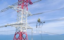 Một công ty con của EVN bị cả 4 Công ty Big4 từ chối kiểm toán sau khi Chủ tịch HĐQT bị khởi tố