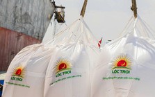 Lộc Trời giải trình gì về việc cổ phiếu bị đình chỉ giao dịch?