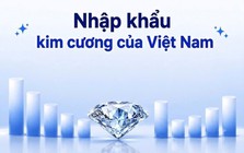 PNJ chỉ mua kim cương từ Hong Kong và Thái Lan: Cục Hải quan hé lộ quy mô nhập khẩu kim cương của Việt Nam