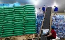Việt Nam đón tin vui lớn từ Iraq