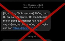 Cảnh báo thủ đoạn giả mạo ngân hàng để chiếm đoạt thông tin thẻ tín dụng