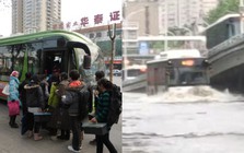 Nếu Hàng không Sơn Đông thống trị bầu trời, thì xe buýt Vũ Hán chính là ‘quái vật tốc độ’ dưới mặt đất