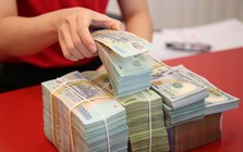 Lãi suất ngân hàng 11/7 tại MB, Sacombank, HDBank, Agribank, Vietcombank, BIDV, VietinBank,...
