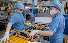 Doanh nghiệp lao đao vì lãi vay neo cao