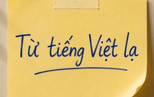 Một từ tiếng Việt chỉ 2 âm tiết nhưng khiến không ít người Việt phải tra Google mới hiểu nghĩa