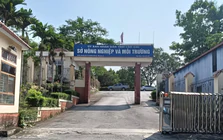Nam cán bộ Sở Nông nghiệp và Môi trường Lào Cai tử vong trong tư thế treo cổ tại cơ quan