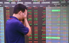 Cổ phiếu bị bán tháo đồng loạt