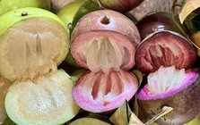 Vì sao gọi là quả vú sữa?