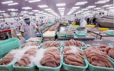 Doanh thu quý II giảm 74%, doanh nghiệp thủy sản vẫn báo lãi tăng hơn 200%, tiền chiếm 73% tài sản: Điều gì đã xảy ra?