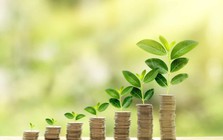 Giải pháp thúc đẩy dòng vốn xanh đến tận hộ gia đình, doanh nghiệp: Bài học từ kinh nghiệm quốc tế