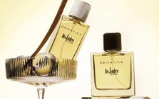"Quiet Luxury" trong thế giới mùi hương: Khi người trưởng thành chọn nước hoa để khẳng định vị thế thầm lặng