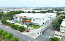 Xuất khẩu vật liệu nội thất: Cơ hội mới cho doanh nghiệp Việt từ năng lực sản xuất