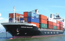 Cước container đi Mỹ tăng dựng đứng, doanh nghiệp xuất khẩu như 'ngồi trên lửa'