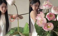 Lê Bống cắm hoa sen “chọc giận” 1 triệu người