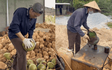Sao nam người miền Tây khiến cả cõi mạng "khiếp sợ": 7 ngày làm 7 nghề, vừa xây căn biệt thự sáng bừng ở quê cho bố mẹ!