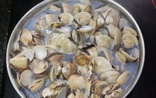 Lời khuyên khi mua ngao ở chợ
