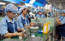 Quy định mới xử phạt vi phạm hành chính trong lĩnh vực lao động, bảo hiểm xã hội
