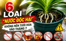 6 loại "nước độc hại" không nên dùng để tưới cây vào tháng 7: Sai một lần, cả chậu cây cũng có thể héo rũ