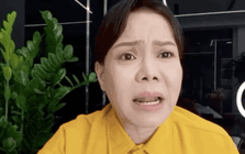 Tình hình hiện tại của nghệ sĩ Việt Hương