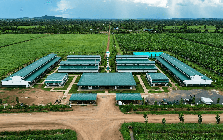Công ty nông nghiệp của tỷ phú Trần Bá Dương báo lãi gấp 6 lần, nợ vượt 2,59 tỷ USD