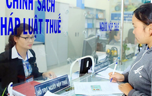 Hơn 617.000 doanh nghiệp vào diện rà soát trong chiến dịch làm sạch mã số thuế của ngành thuế