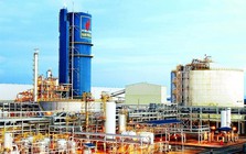 Đạm Phú Mỹ chốt danh sách chia cổ tức 15% ngay tháng này