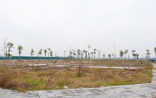 Đấu giá đất đã qua thời kỳ phải mua bằng mọi giá
