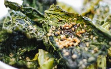 Đột quỵ cũng phải "sợ" loại rau này, chứa nhiều vitamin C hơn cả cam quýt: Nhiều gia đình Việt thích ăn mà không hề biết