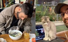 Mèo ở quán xá Việt Nam thành 'đại sứ du lịch' thu hút khách Tây