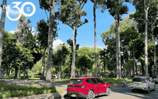 Cuộc sống của tôi dạo này gắn liền với đi bộ và nước lọc