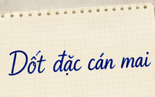 Vì sao gọi là "Dốt đặc cán mai"?