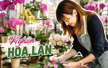 Cô gái khoe phòng khách kín hoa lan và quả quyết: "Tôi sẽ không mua thêm nữa", nhưng ai nhìn cũng chỉ biết bật cười