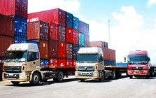 Phó Thủ tướng yêu cầu giảm giá cước vận tải khi giá xăng dầu giảm