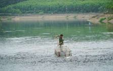 Bỏ phố về quê nuôi con cá rẻ như cho nhưng được xem như 'thuốc đại bổ', thanh niên 9X xây trang trại doanh thu tiền tỷ