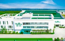 Công ty bán thuốc kháng sinh báo lãi gấp 24 lần trong quý 2/2026