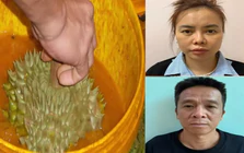 Hai đối tượng buôn lậu hơn 7.000 sản phẩm thuốc nhúng quả sầu riêng
