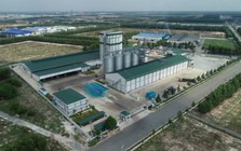 Từ năng suất đến phát triển bền vững: Bài toán mới của ngành chăn nuôi Việt Nam