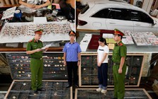 Bắt giam chủ shop online Phạm Thị Huyền SN 1998 sau khi kiểm tra nhà riêng, tịch thu 4 tỷ đồng tiền hàng