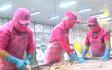 Thủy sản Việt Nam xuất Trung Quốc nhiều nhất