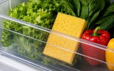 Vì sao nhiều gia đình đặt 1 miếng bọt biển khô trong ngăn rau tủ lạnh vào mùa hè? Công dụng ít ai ngờ