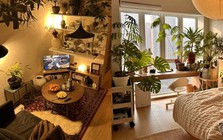 Chi 367 triệu, mất 68 ngày biến căn nhà ống thành vườn cây: Chàng trai độc thân nói ở nhà vui hơn đi chơi
