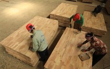 Nguy cơ ngành gỗ thiếu nguyên liệu sản xuất