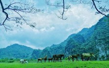 Không phải Sa Pa, đây là nơi được ví như "Mông Cổ thu nhỏ" của Việt Nam: Vừa lọt đề cử tốt nhất thế giới