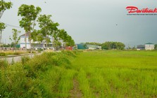 Đấu giá đất nông thôn ở Hà Tĩnh: Vì sao giá khởi điểm lên tới hơn 5,3 tỷ đồng?