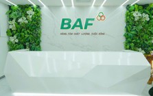 Baf Việt Nam sắp chào bán hơn 40 triệu cổ phiếu