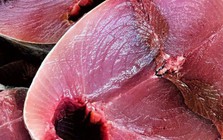 5 loại cá giàu protein bậc nhất
